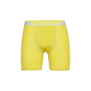 ICEBREAKER Športové nohavičky 'Anatomica'  žltá / svetlosivá