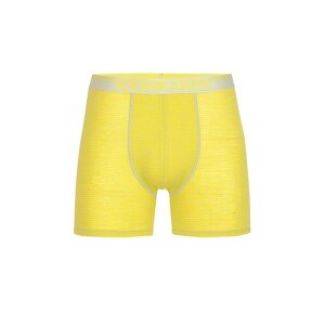 ICEBREAKER Športové nohavičky 'Anatomica'  žltá / sivá