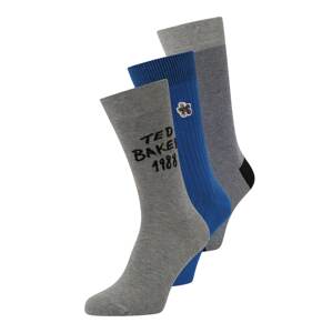 Ted Baker Ponožky 'GREYONE'  modrá / modrá melírovaná / sivá