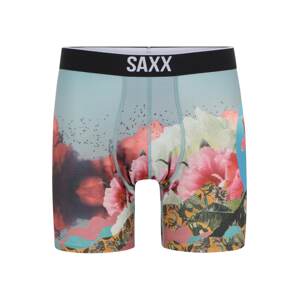 SAXX Športové nohavičky 'VOLT'  svetlomodrá / ružová / biela / hnedá