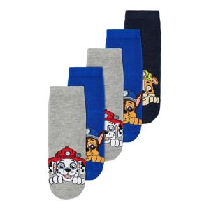 NAME IT Ponožky 'OTRICK PAW PATROL'  modrá / zmiešané farby / svetlosivá