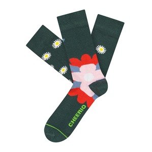CHEERIO* Ponožky 'Alpine Daisies'  tmavozelená / zmiešané farby
