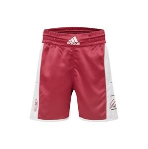 ADIDAS PERFORMANCE Športové nohavice 'DAME'  biela / čierna / tmavočervená