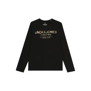 Jack & Jones Junior Tričko  čierna / olivová / hnedá