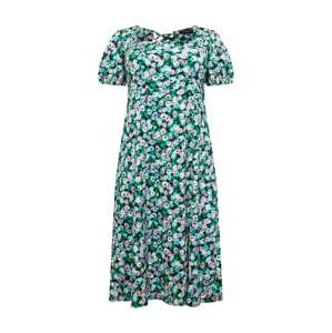 Dorothy Perkins Curve Letné šaty  svetlomodrá / zelená / ružová / biela