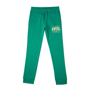 O'NEILL Športové nohavice  žltá / trávovo zelená / biela