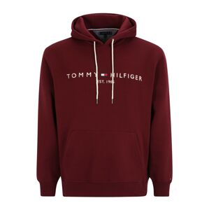 Tommy Hilfiger Big & Tall Mikina  tmavomodrá / karmínovo červená / svetločervená / biela