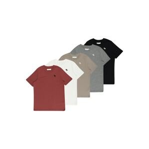 Abercrombie & Fitch Tričko  tmavobéžová / sivá / tmavočervená / čierna / biela