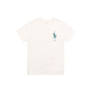 Polo Ralph Lauren Tričko  biela / nefritová / mätová / zmiešané farby