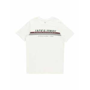 Jack & Jones Junior Tričko 'Ron'  hnedá / sivá / biela / čierna