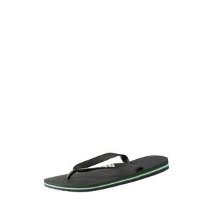 HAVAIANAS Plážové / kúpacie topánky 'Brasil Logo'  čierna